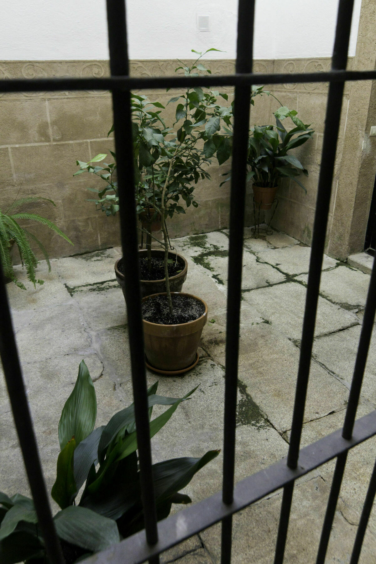 Casa Conde De Santa Olalla Caces Zewnętrze zdjęcie
